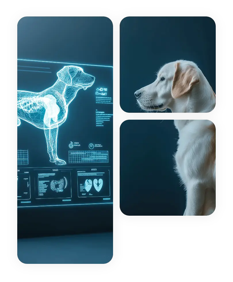 Axion veterinarian examining a puppy with a stethoscope in a clinical setting.